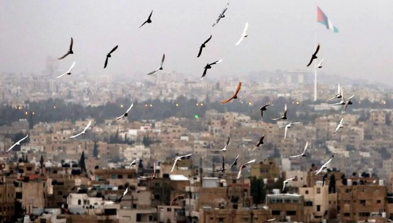 طقس دافئ حتى الثلاثاء