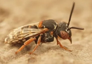 e7924aa1539f242706d4e19dda9ac67a