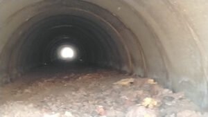 2 kabarnew خبر جديد