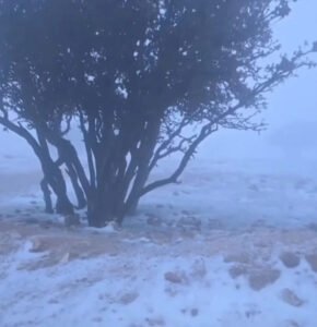 2 Kabarnew خبر جديد