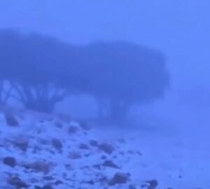 4 Kabarnew خبر جديد